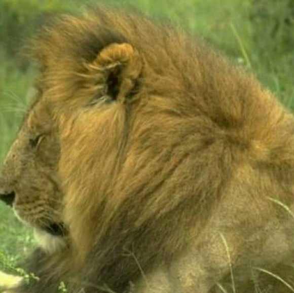 Meet your Posher, Alex - Picture 1 of 1